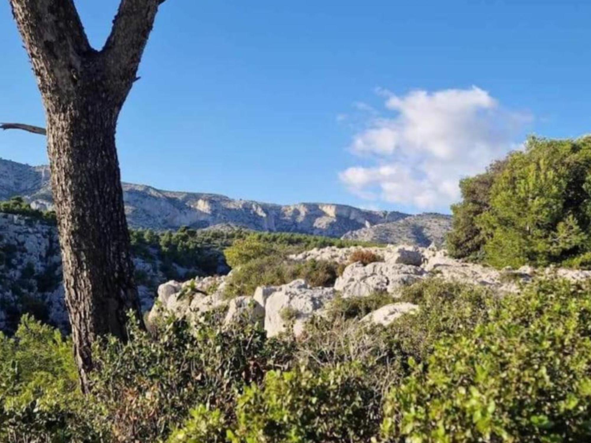 Le Perchoir De Cassis Cocoon Leilighet Eksteriør bilde